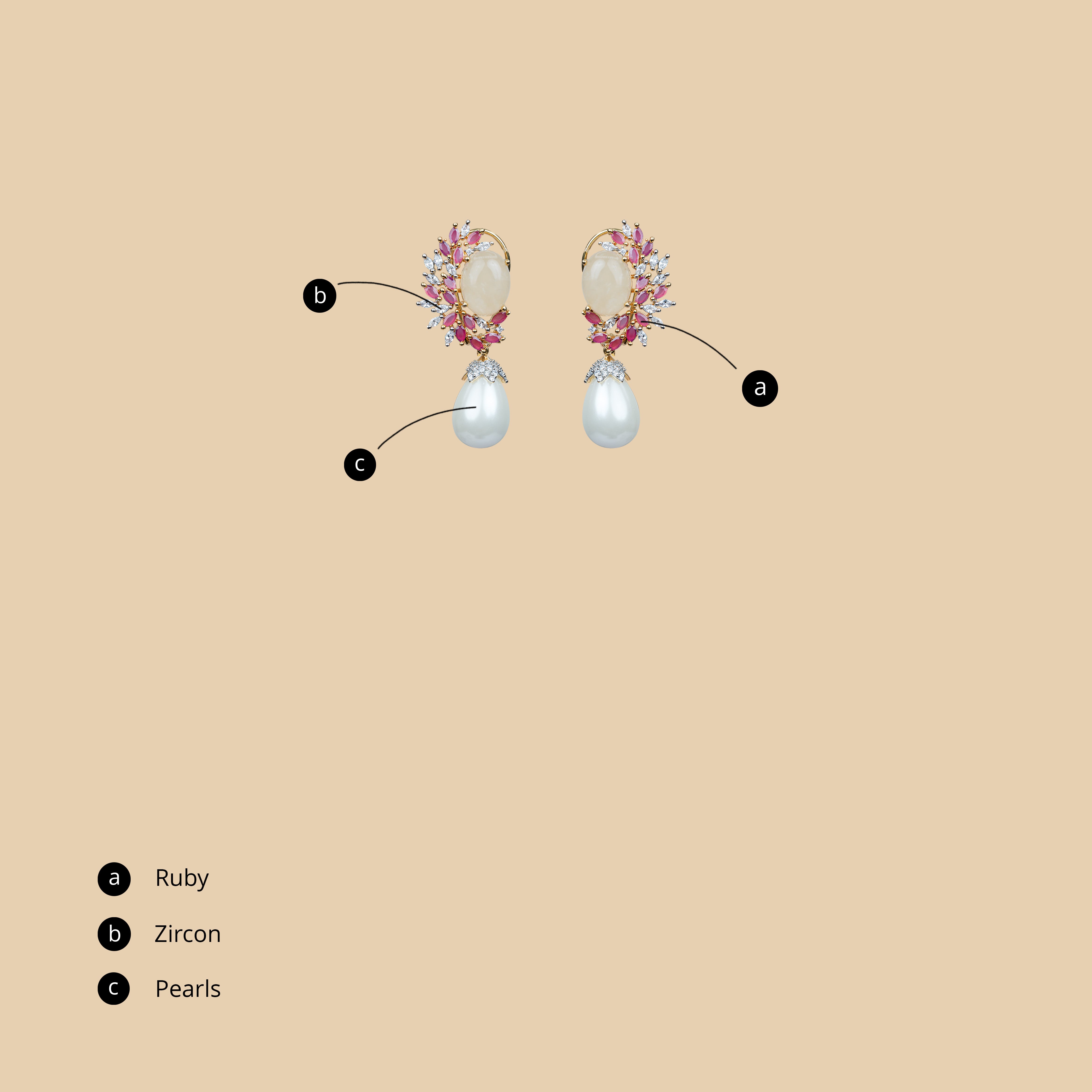 Parizaad Earrings