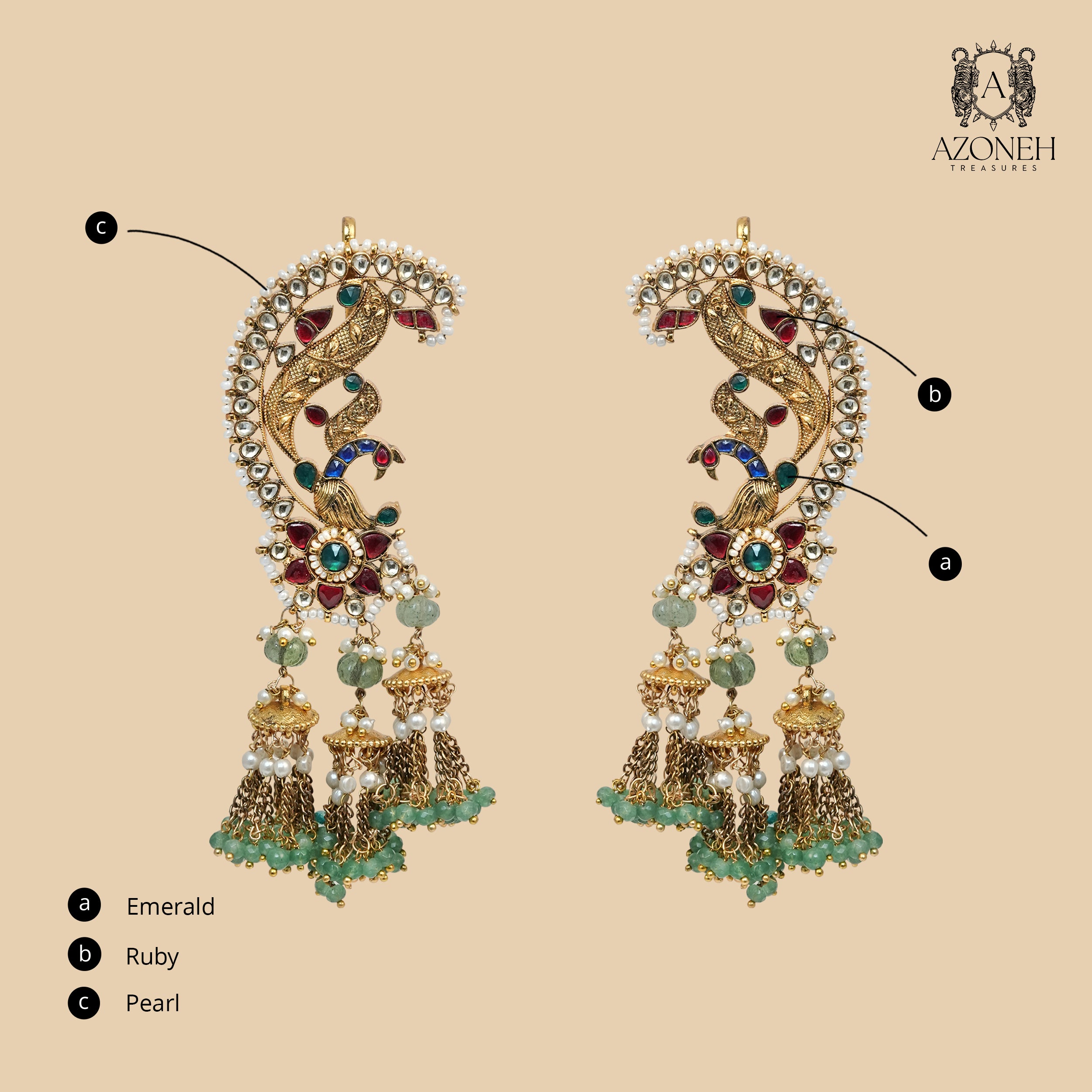 Kairavi Ear Climbers