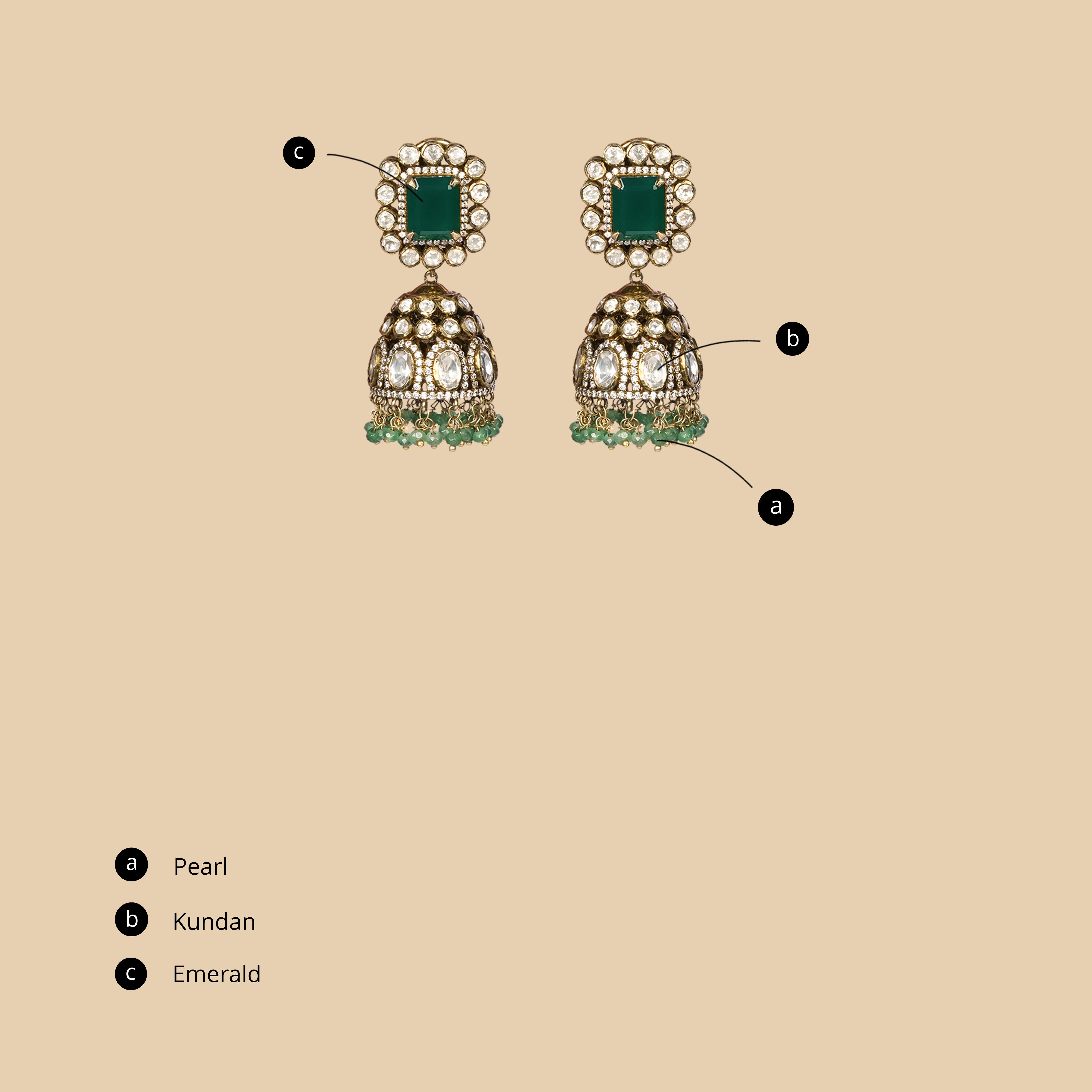 Aarohi Earrings