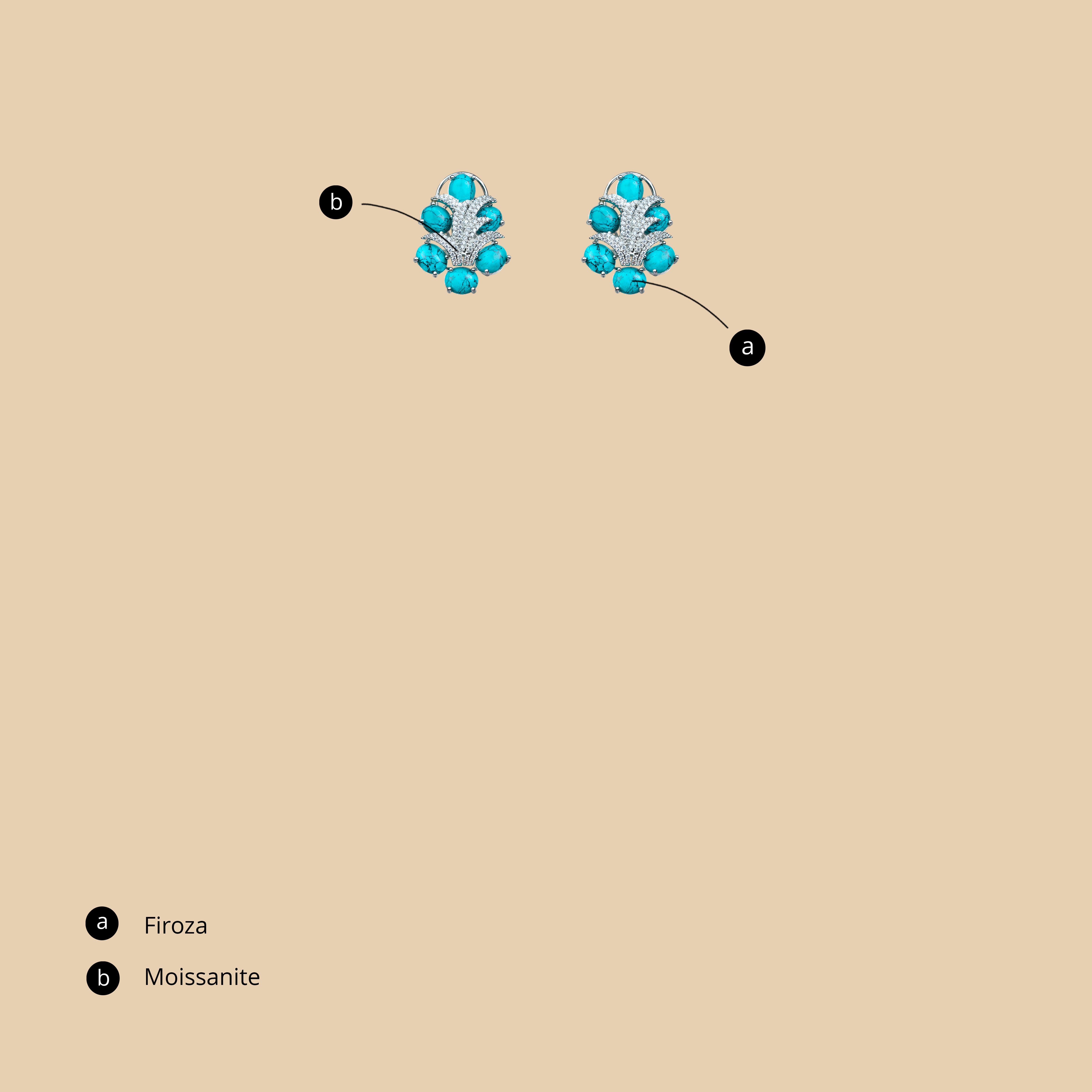 Vehram Earrings